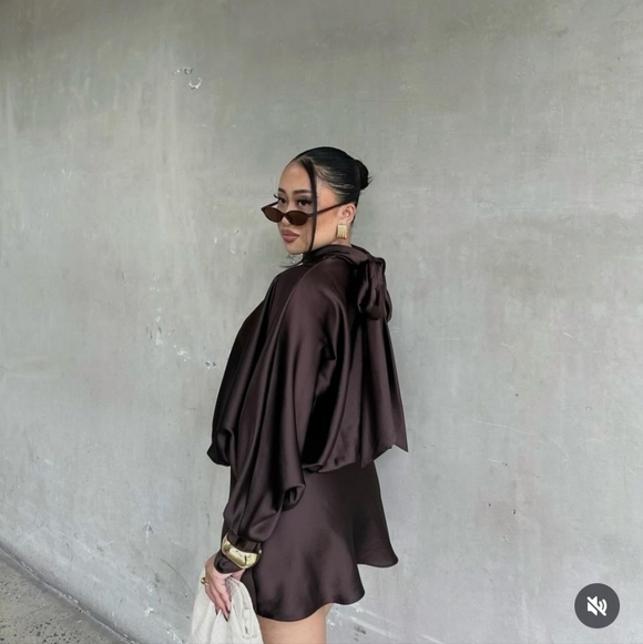 Zara Satin Effect Scarf Dress Brown NWT - Picture 14 of 15